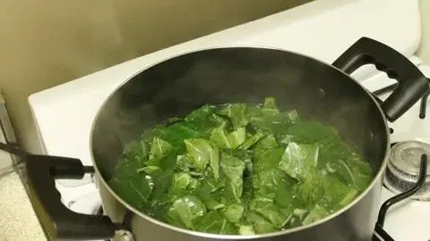 WellnessGuide103.com